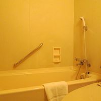 浴室のデザインは旧式で、広くもありません 