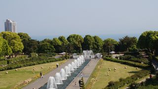 季節の花々に癒される