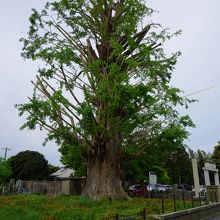 宗英寺