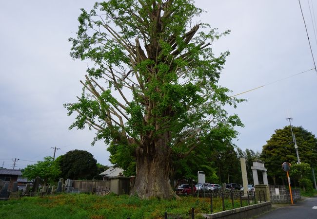 宗英寺