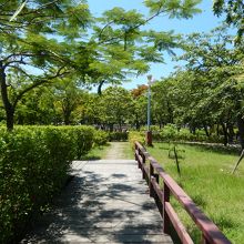 周囲には散策が出来る遊歩道があります