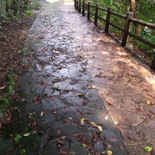 雨の日には滑り易い道ですのでご注意を・・・