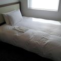 アクセスは良いが普通のビジネスホテル。