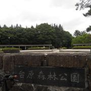 緑豊かな公大な公園です