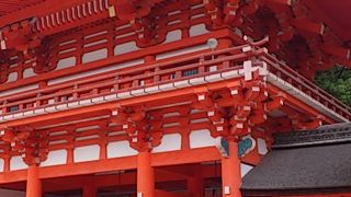 糺ノ森とコントラストがすごいです