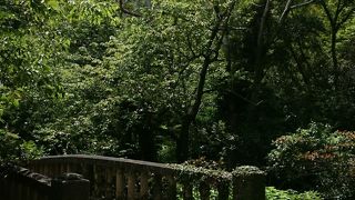 名護：マイナスイオンが優しく満ちた所