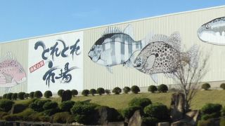 白浜観光のしめくくりによい