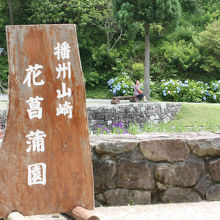 播州山崎花菖蒲園