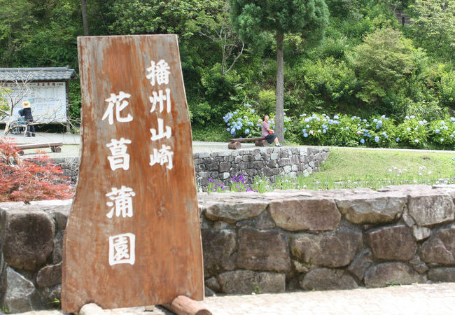 播州山崎花菖蒲園 クチコミ アクセス 営業時間 宍粟 フォートラベル