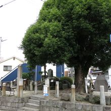 閑静な住宅街の一角にあります