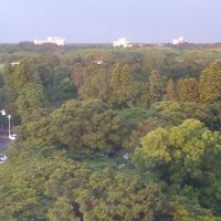 客室からの眺め