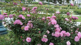 美しい景観です