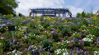 とにかく隅々まで手入れが行き届いていて