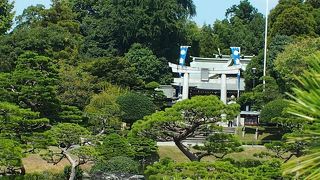 緑と水にあふれた空間