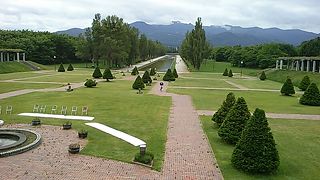 藤の花は見ごたえがあります