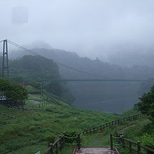 展望台から見たもみじ谷大吊り橋