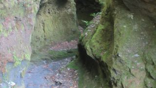 苔の洞門