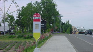 国道からの眺めもいいです