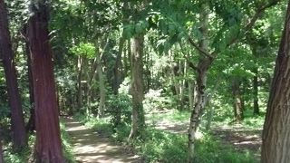 森の中にある公園です