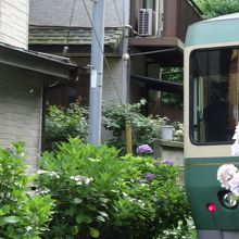 違う場所での江ノ電とあじさい