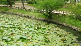 無料で楽しめ、四国の歴史もわかる