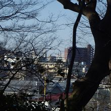 西方向のビルの間に白い山あり。