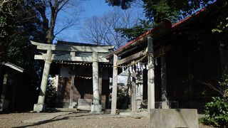 西方向のビルの間に白い山が見えましたが、富士山かどうかは未確認。