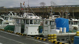 冷凍サクラエビがおすすめ