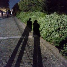 音楽堂への途中