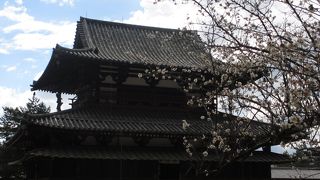 定期観光バスで法隆寺や薬師寺、唐招提寺に楽々回れます。