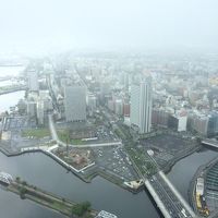 朝も曇っちゃったーあらー