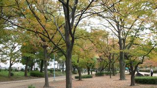 史跡もあります