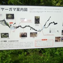 実際はもっと長く海の方まで洞窟は続くそうです