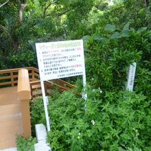 入口の看板！「自己責任」って所が・・・