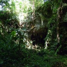 もはや探検の域…