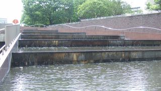 桜の頃が特にいい。お気に入りの公園