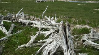 早く見ないと消えてしまいます