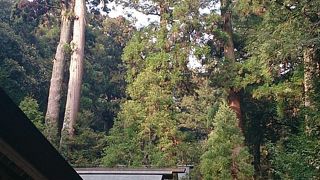 伊野天照皇大神宮