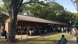 横に長い1軒屋の建物