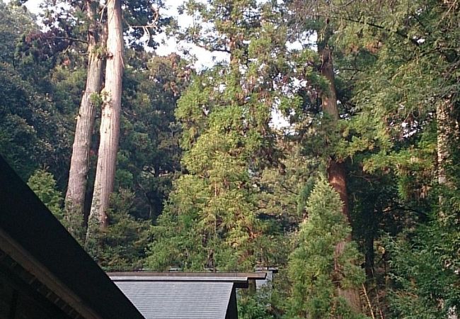 ひっそりとたたずむ山間の神社