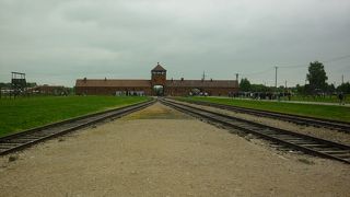 人類は愚かな存在