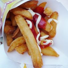 ベルギー名物フリッツ