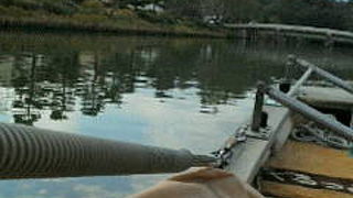 楽しいお堀めぐり