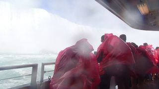 名前が変わった