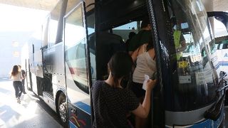 コルドバ→セビリア　６月はひまわり畑が見えます！