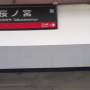 名のごとくさくらの名所駅