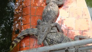 ネタとしては面白い場所　バス１時間で簡単アクセス