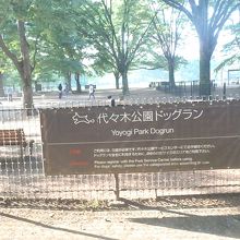 無料で利用できる By てっぽう 代々木公園ドッグランのクチコミ フォートラベル 無料で利用できる By てっぽう 代々木公園ドッグランのクチコミ フォートラベル