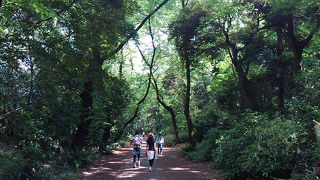 ほんとに新宿！？