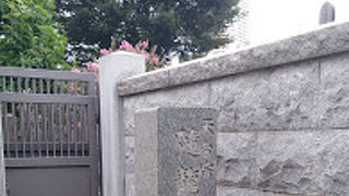 すぐ隣が谷中霊園